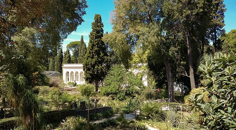 Mecenat Jardin des plantes